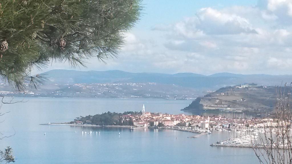 Apartment Laguna 22 Izola Dış mekan fotoğraf